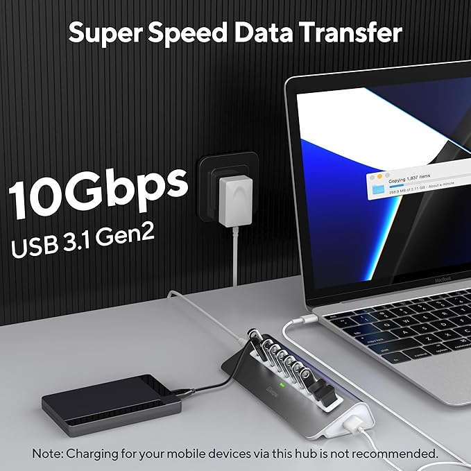 Powered USB Hub, intpw 10 Port USB 3.1 Hub with 10Gbps Data Transfer, 36W(12V/3A) Power Adapter, USB Type A and Type C Cable, Aluminum USB Hub for Laptop, MacBook and Desktop Computer