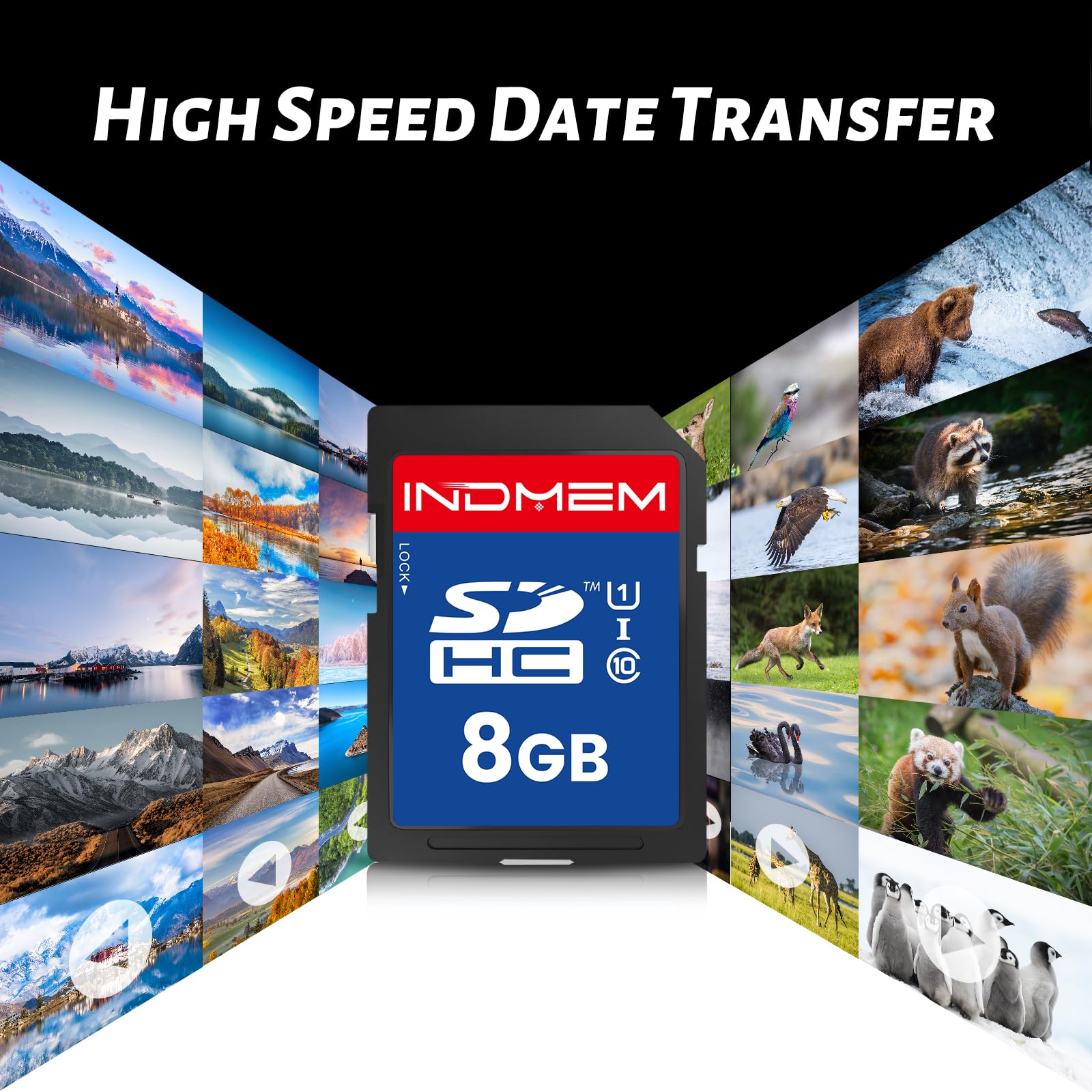 INDMEM SD Card 8GB, 8 Packs Class 10 8GB Flash Memory Card MLC Standard Secure Digital Cards Camera Card
