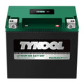 TYKOOL LFP30L-BS-STD Lithium Battery, Replaces YTX30L-BS, 650CCA 12Ah Fits for Motorcycle UTV ATV PWC, Compatible with Harley Touring Road King Moto Guzzi 1000cc Polaris Ranger RZR 800,Digital Readout