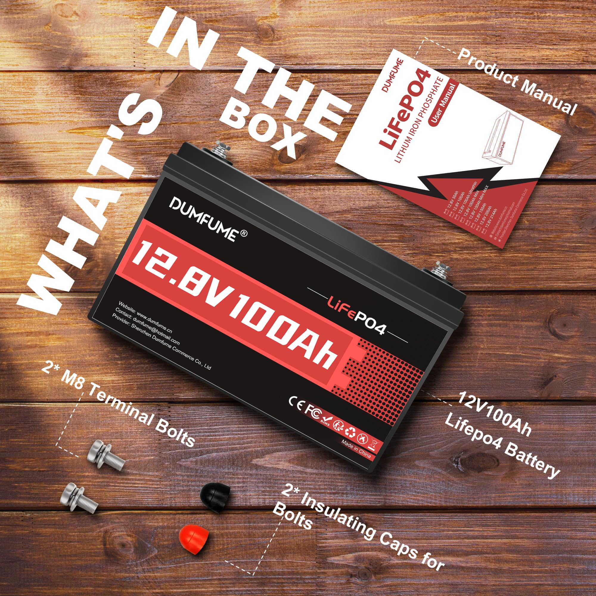 Dumfume 2 Packs 12V 100Ah LiFePO4 Lithium Battery 100A BMS