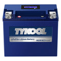 TYKOOL LFP20-BS-PRO Lithium Battery, Replaces YTX20-BS YTX20H-BS GYZ20H, 650CCA 12Ah fits for Indian Chief Scout Arctic Cat Alterra ZR 8000 Yamaha SR Viper Moto Guzzi California, Digital Readout [+ -]