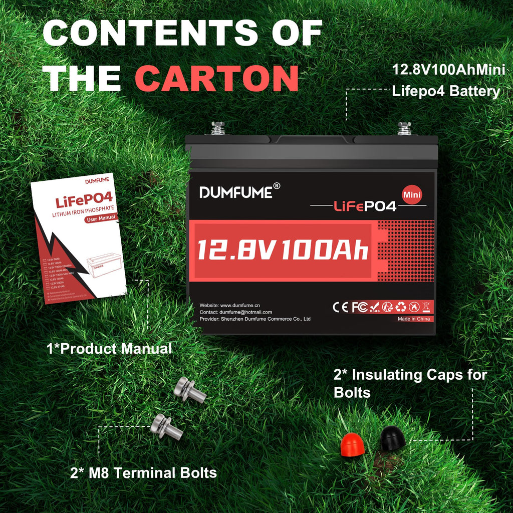 12V 100Ah Mini LiFePO4 Lithium Battery, Built-in 100A BMS